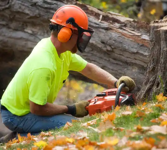 tree services New Middletown